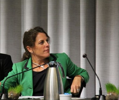 Romilly Madew at Green Cities 2013