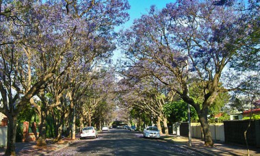 adelaidest