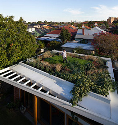 nest-green-roof