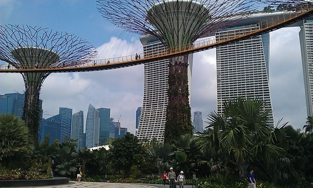 The "super trees" that collect solar energy