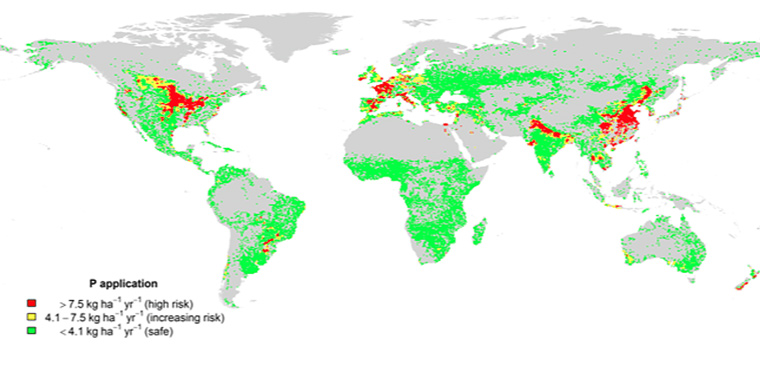 Phosphorus pollution in croplands.