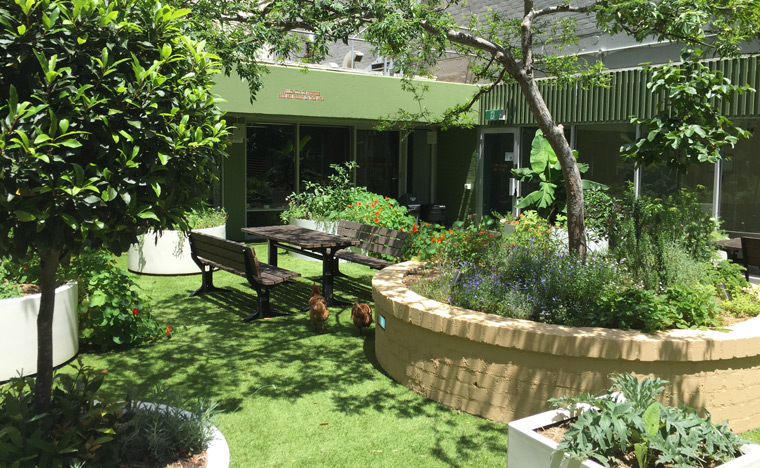 50 Martin Place's roof