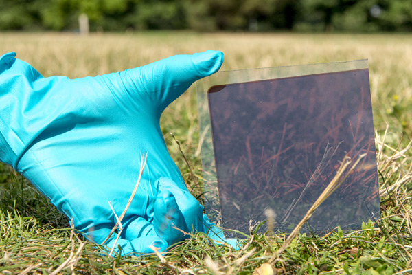 perovskite solar cell