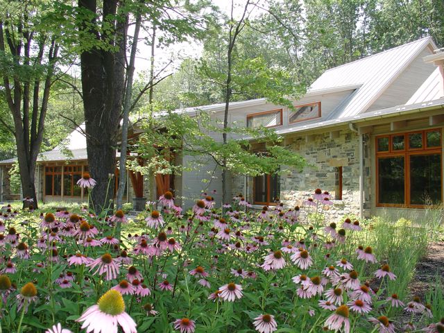 The Willow School in Gladstone, New Jersey. Image: Regenesis