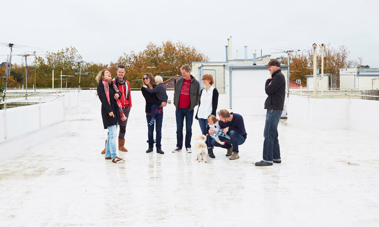 The green roof committee