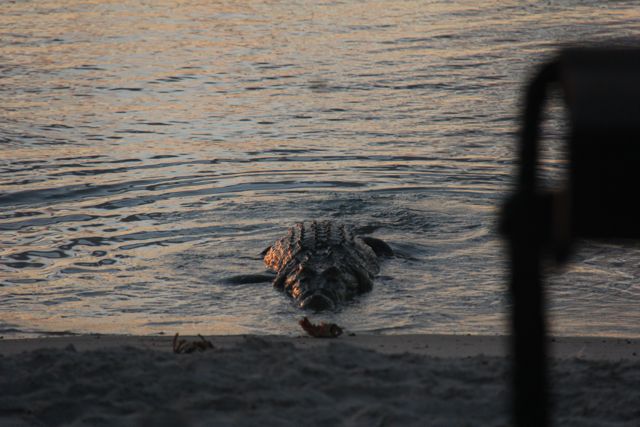 Nike, one of the local residents at a Lirrwi Tours homeland