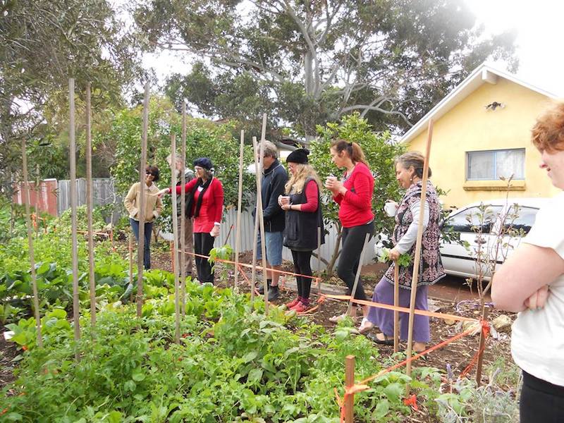 pinakarri-vegie-verge-2014