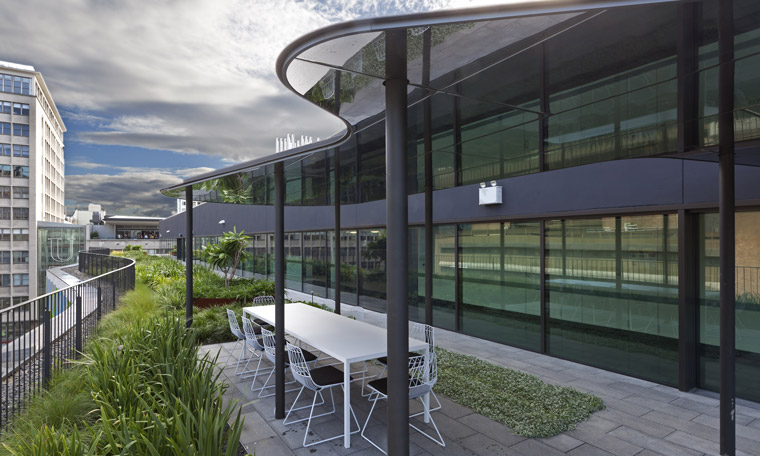A green roof on the UTS Faculty of Science Graduate School of Health. Image: Andrew Worssam
