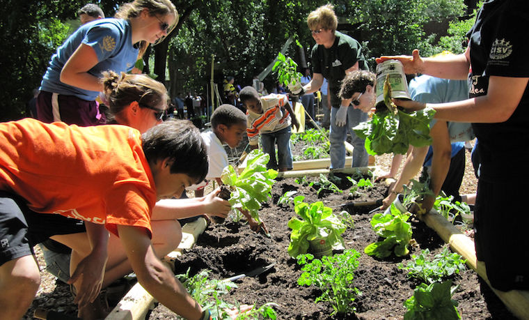 urban food policy