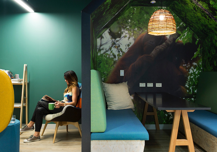 Woman sitting office reading at Australian ethical