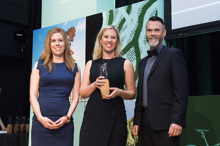 green globe winners 17