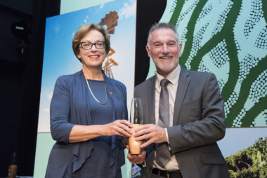 Green globe awards 17