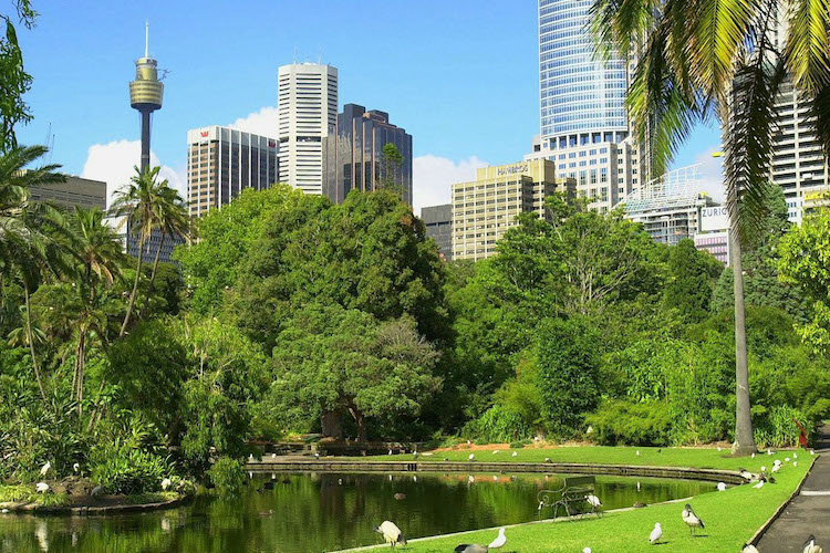 Sydney park green infrastructure