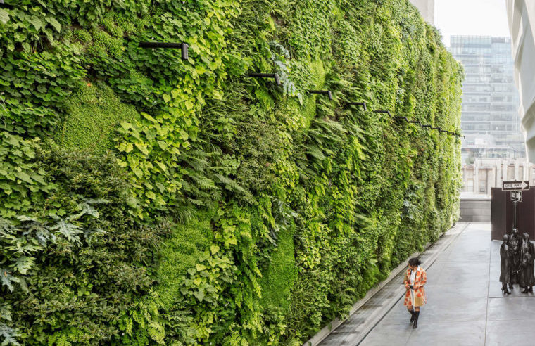 green wall