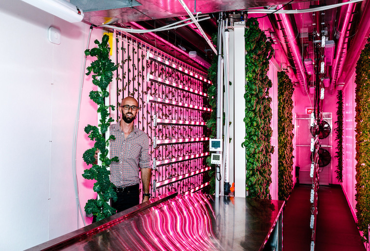 modular farms, Sydney 