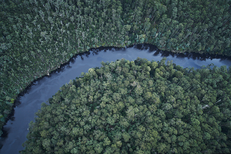 Tarkine, Tasmania