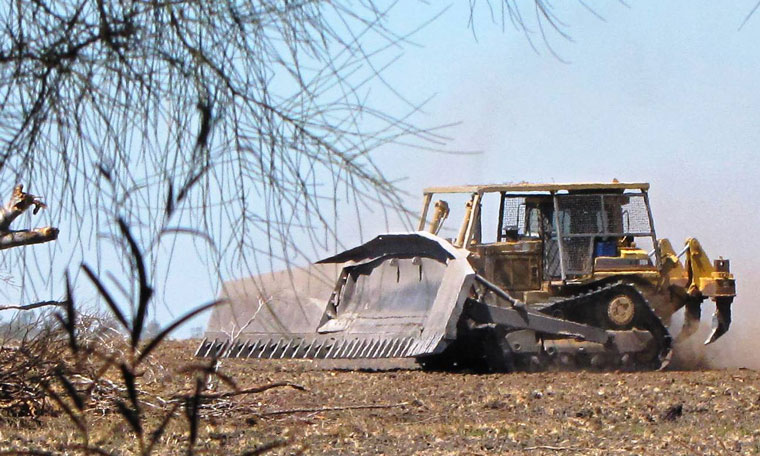 Illegal land clearing in NSW The Wilderness Society