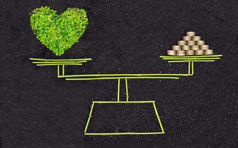 investors sustainable assets