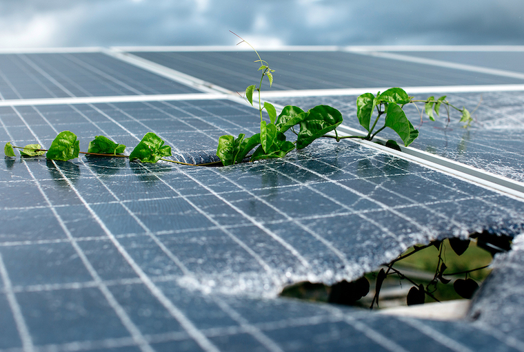 solar panel waste