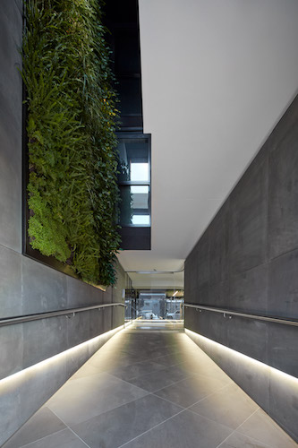 photovoltaic glass The General northcote