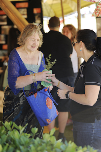 Penrith city council tree giveaway