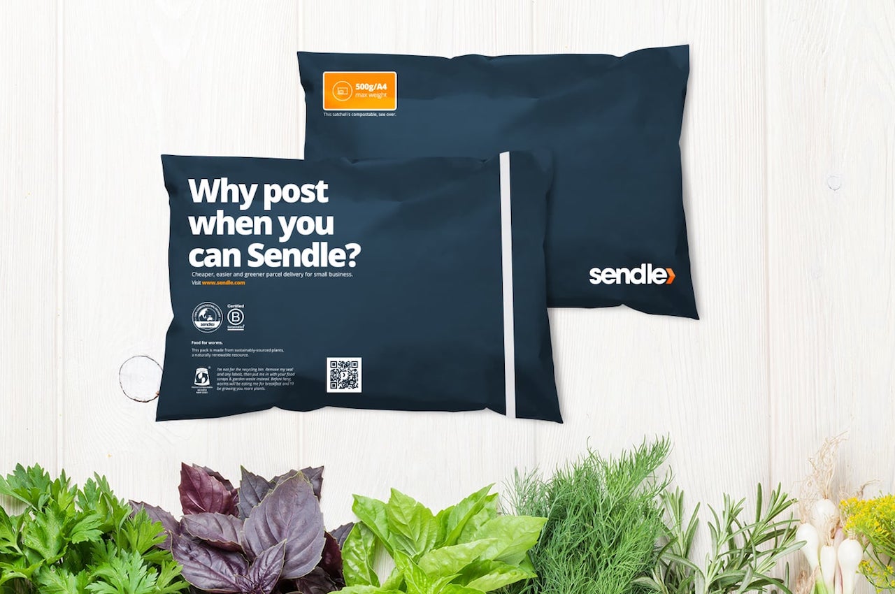 Sendle satchel