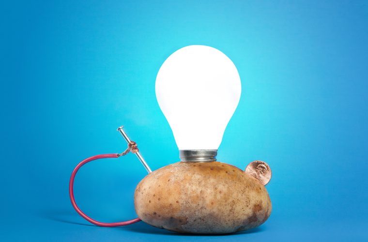 potato powered light