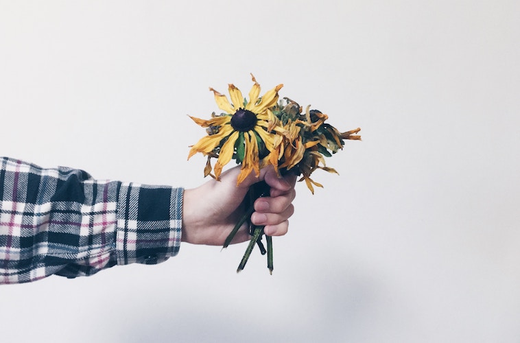 Hand holding dead flowers NSW