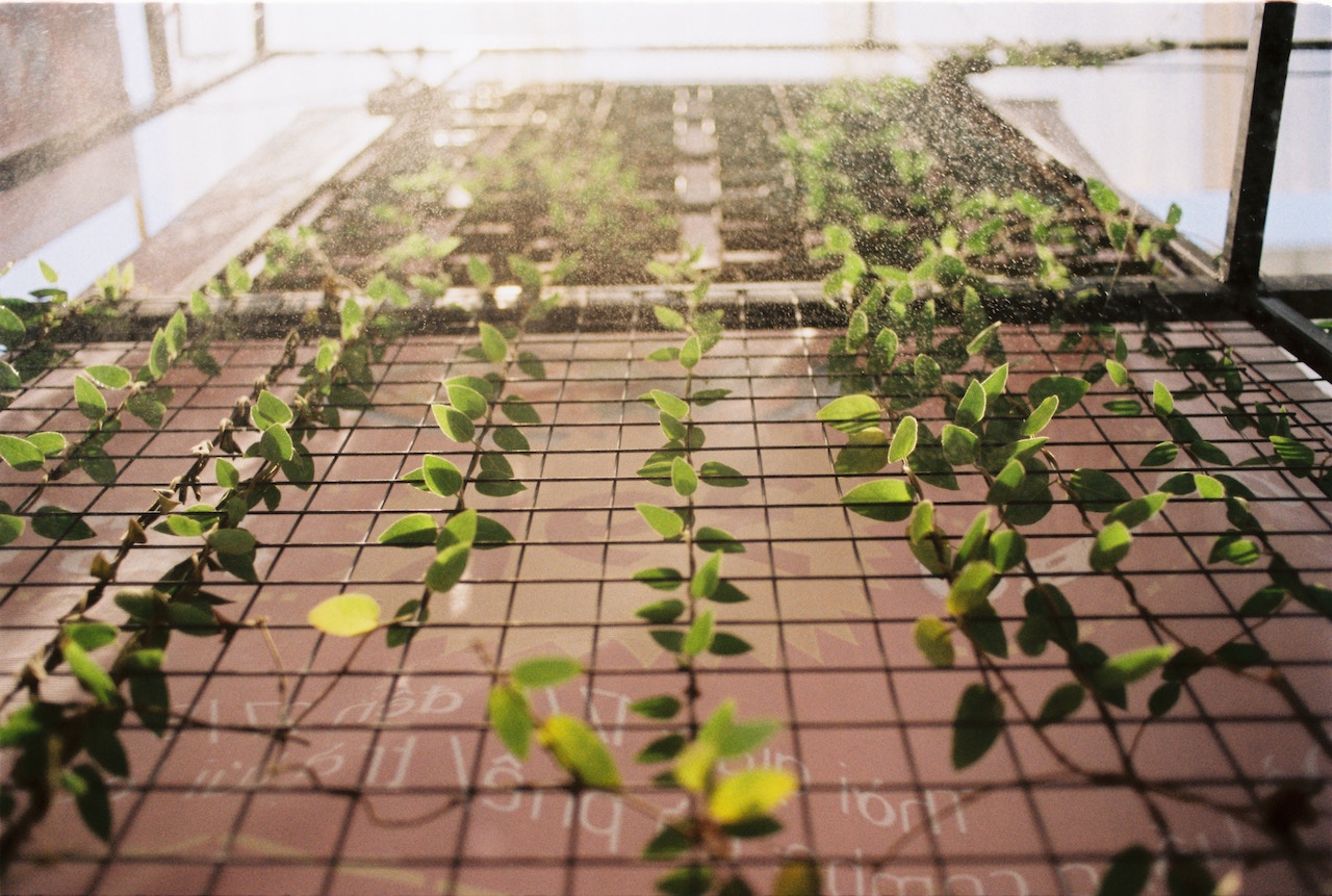 Green building ratings are part of the drivers for Australia’s green bonds