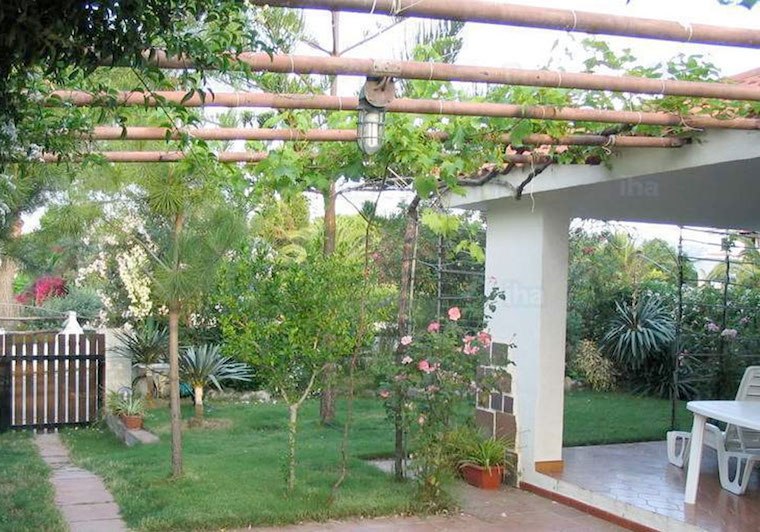 Pergolas with fruit 
