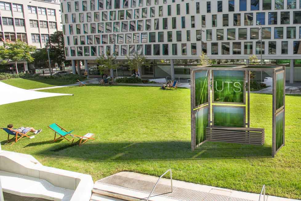 Can algae building technology work in Australia? 