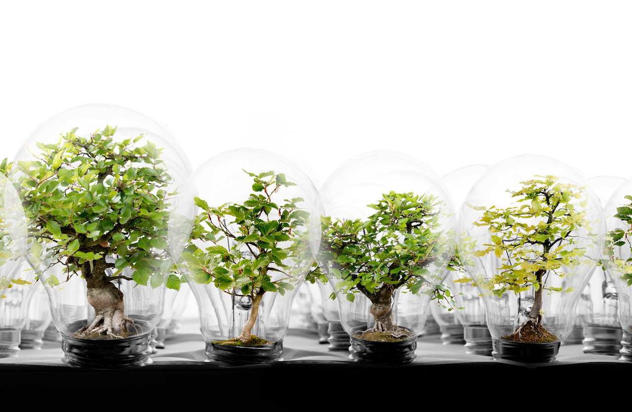 light bulb row with trees finance data sustainable development goals