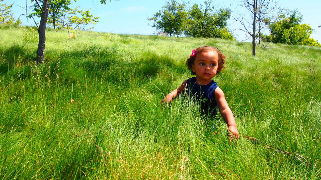girl in long grass symbol of climate emergency
