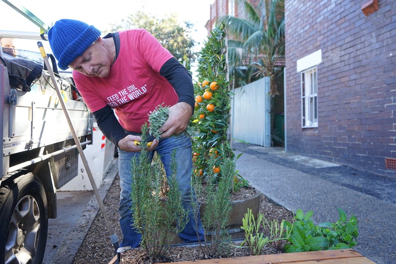 Michael Mobbs gardening