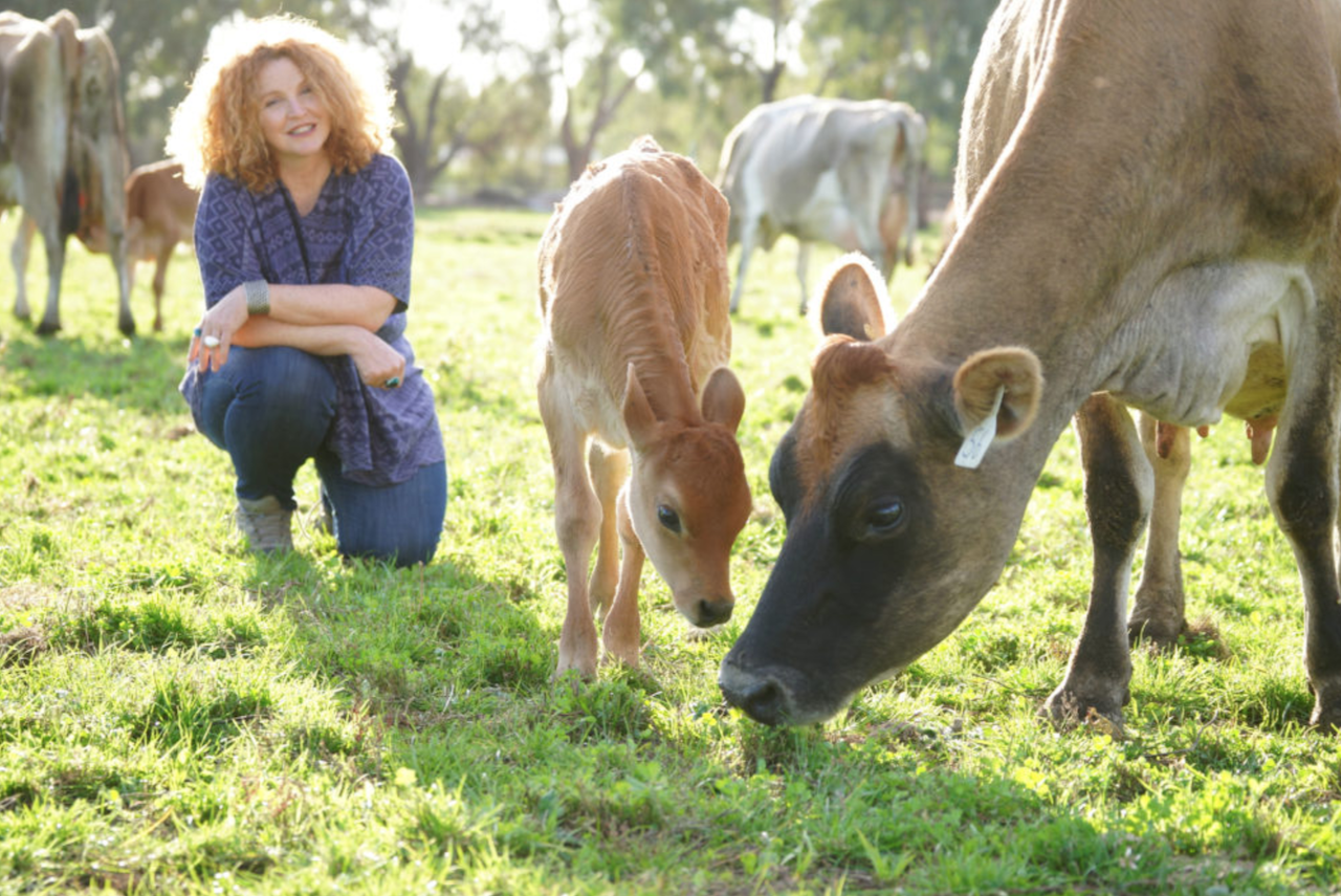 How Now founder Cathy Fa