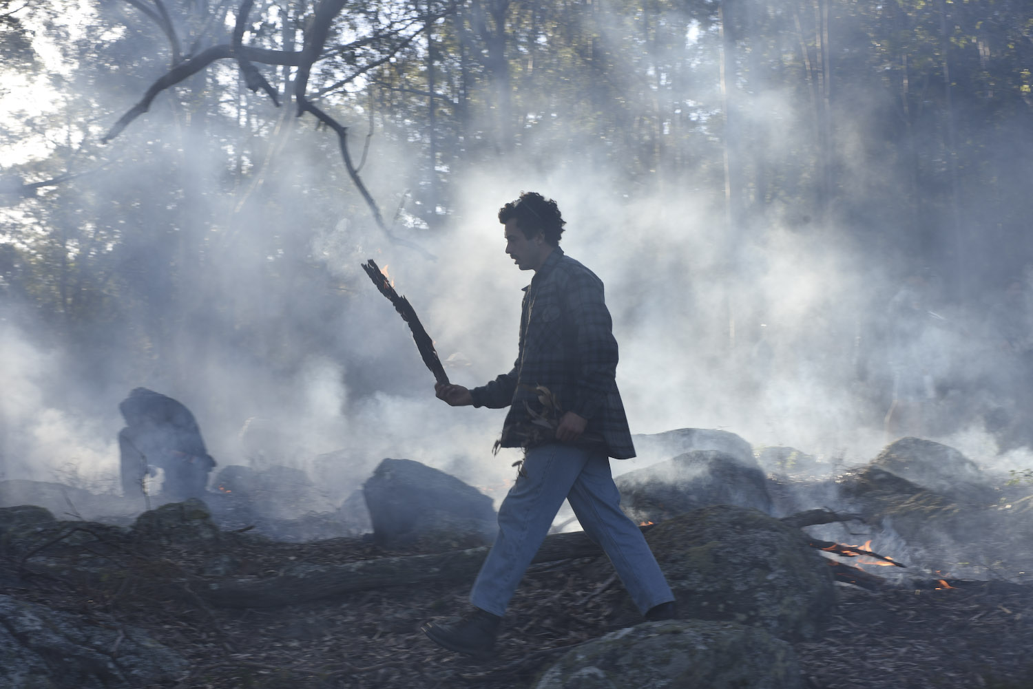 indigenous cultural burning