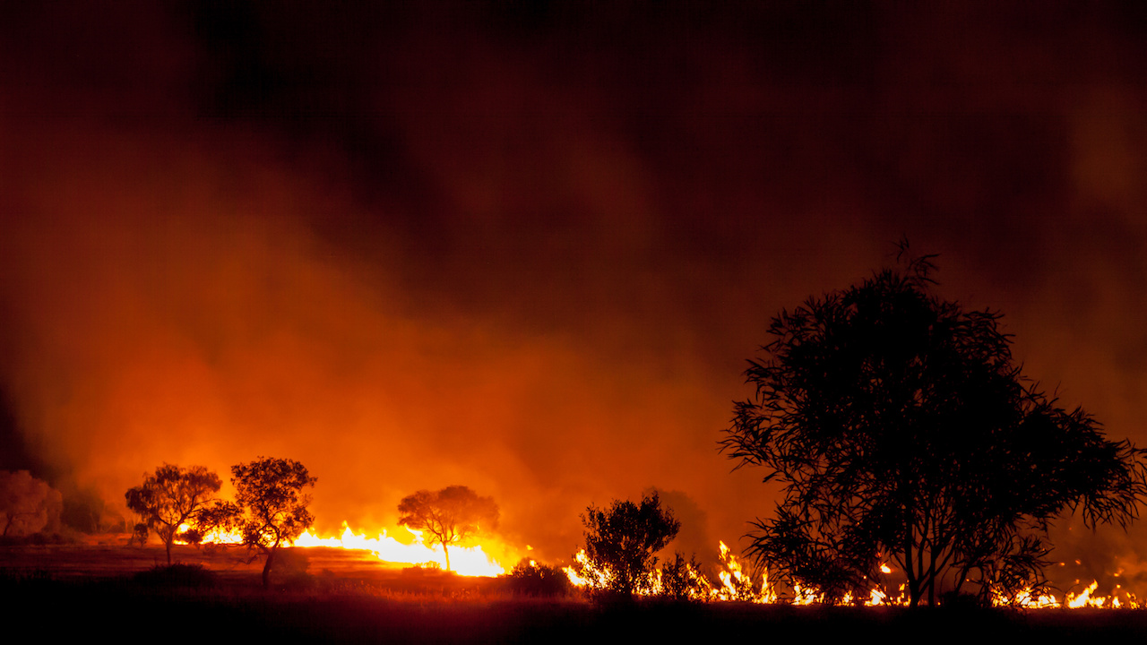 australian bushfire