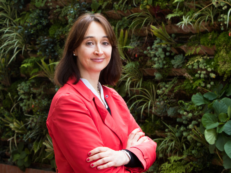 Cristina gamboa head of WGBC