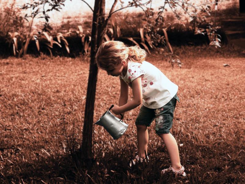 Photo by Pedro Kümmel on Unsplash