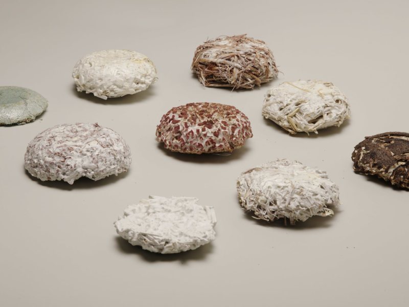 Mykor biocomposite material