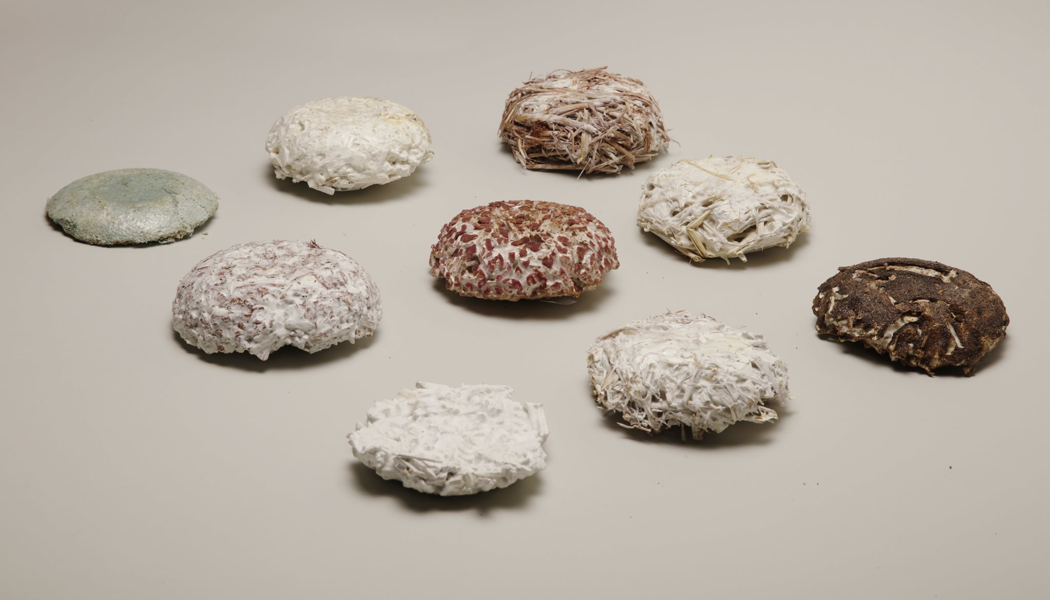 Mykor biocomposite material