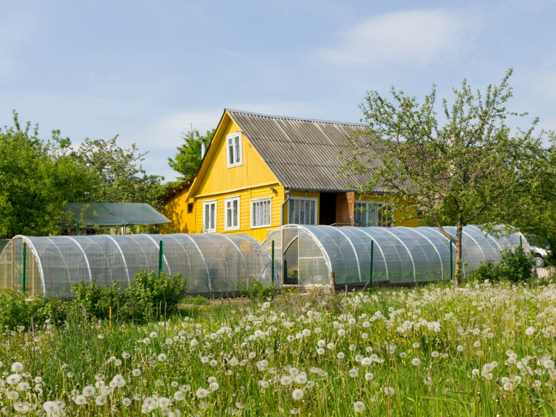 Agricultural farm village countryside