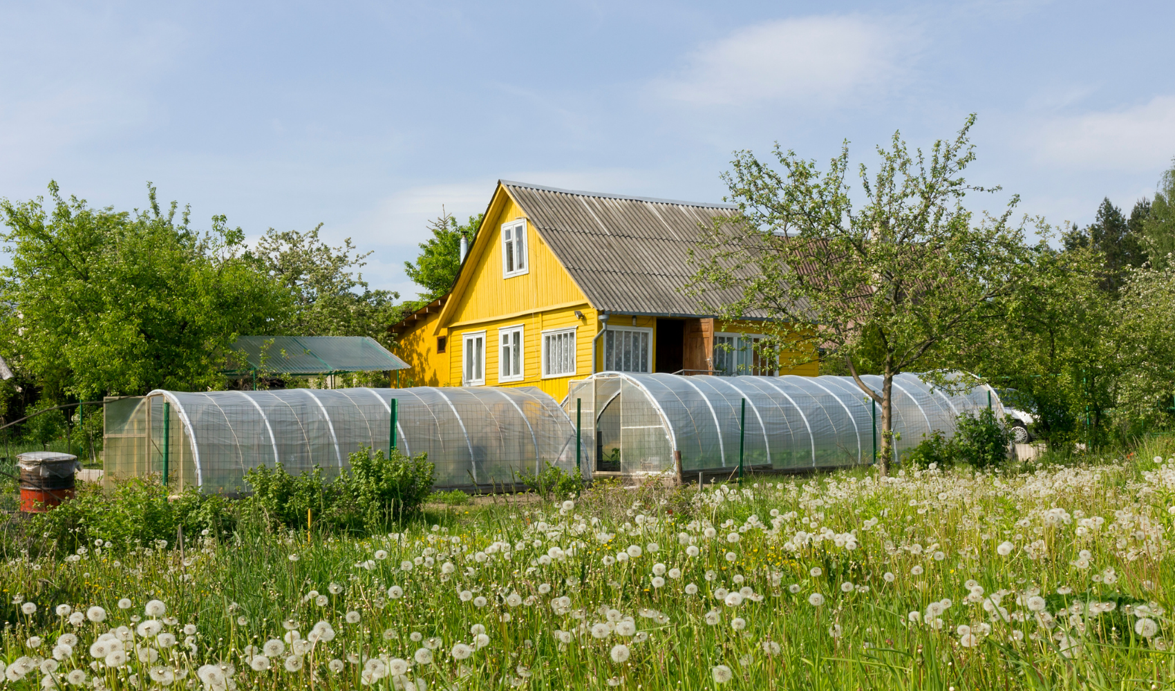 Agricultural farm village countryside
