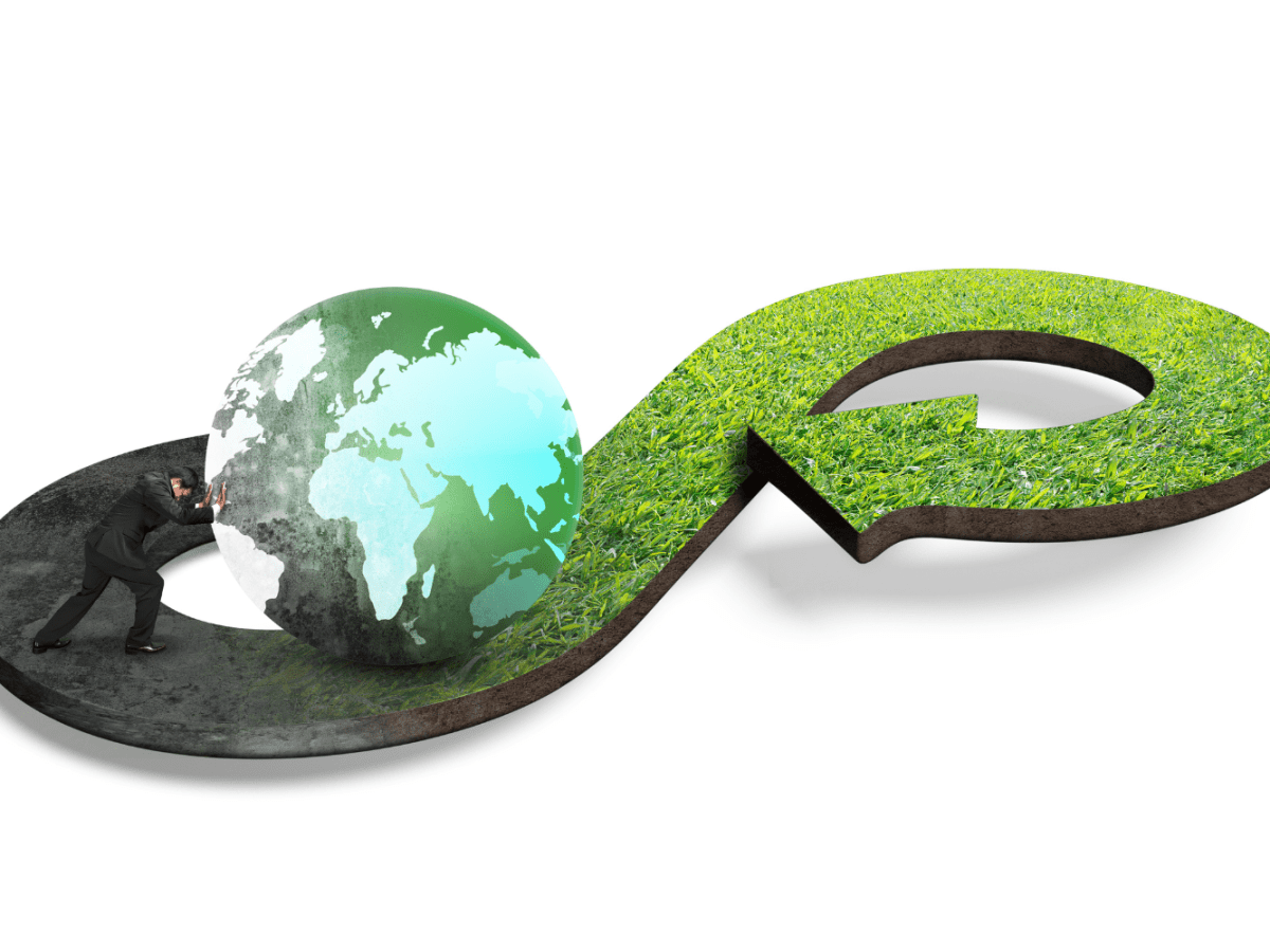 The politics of the circular economy and the meaning of trust