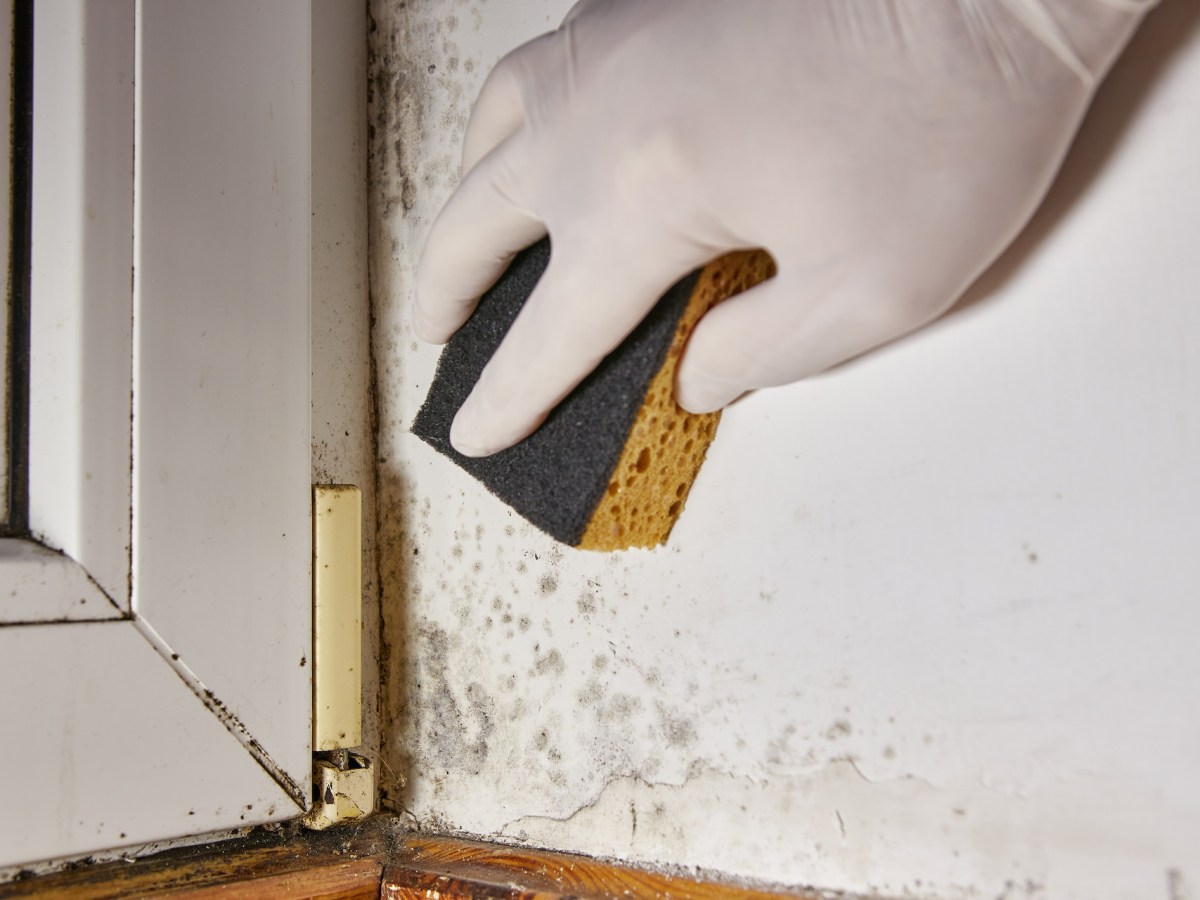 Moisture management, and the death of an Aussie icon