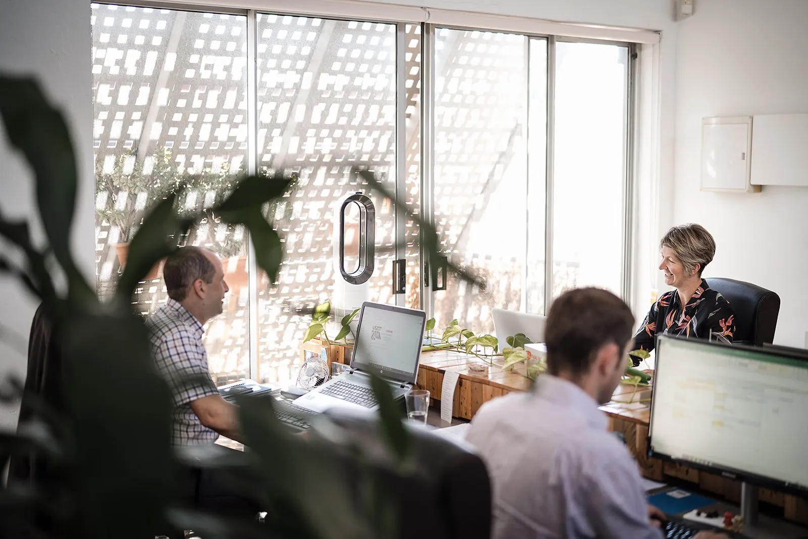 green office with people