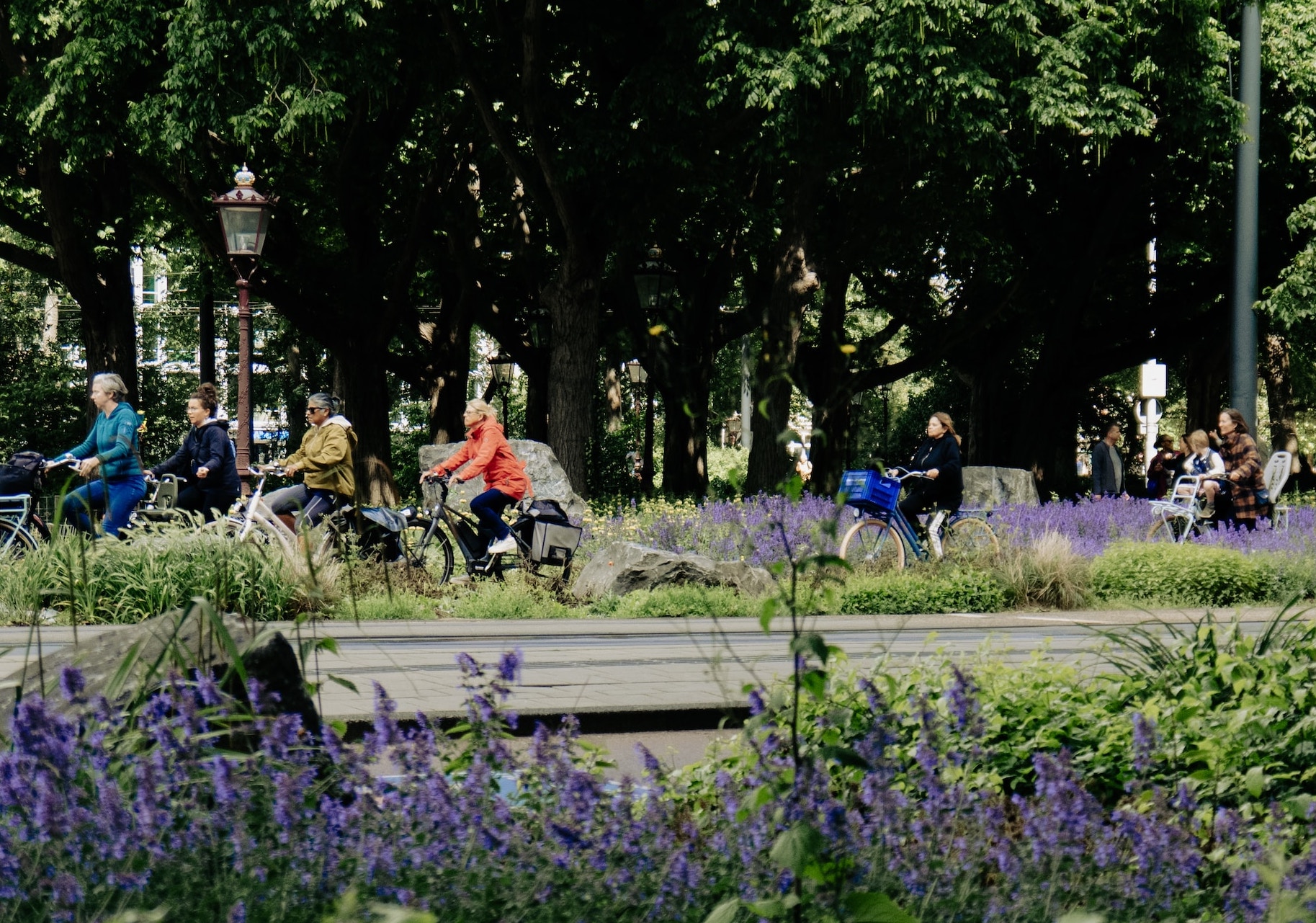 Various women riding on bikes through park in amsterdam