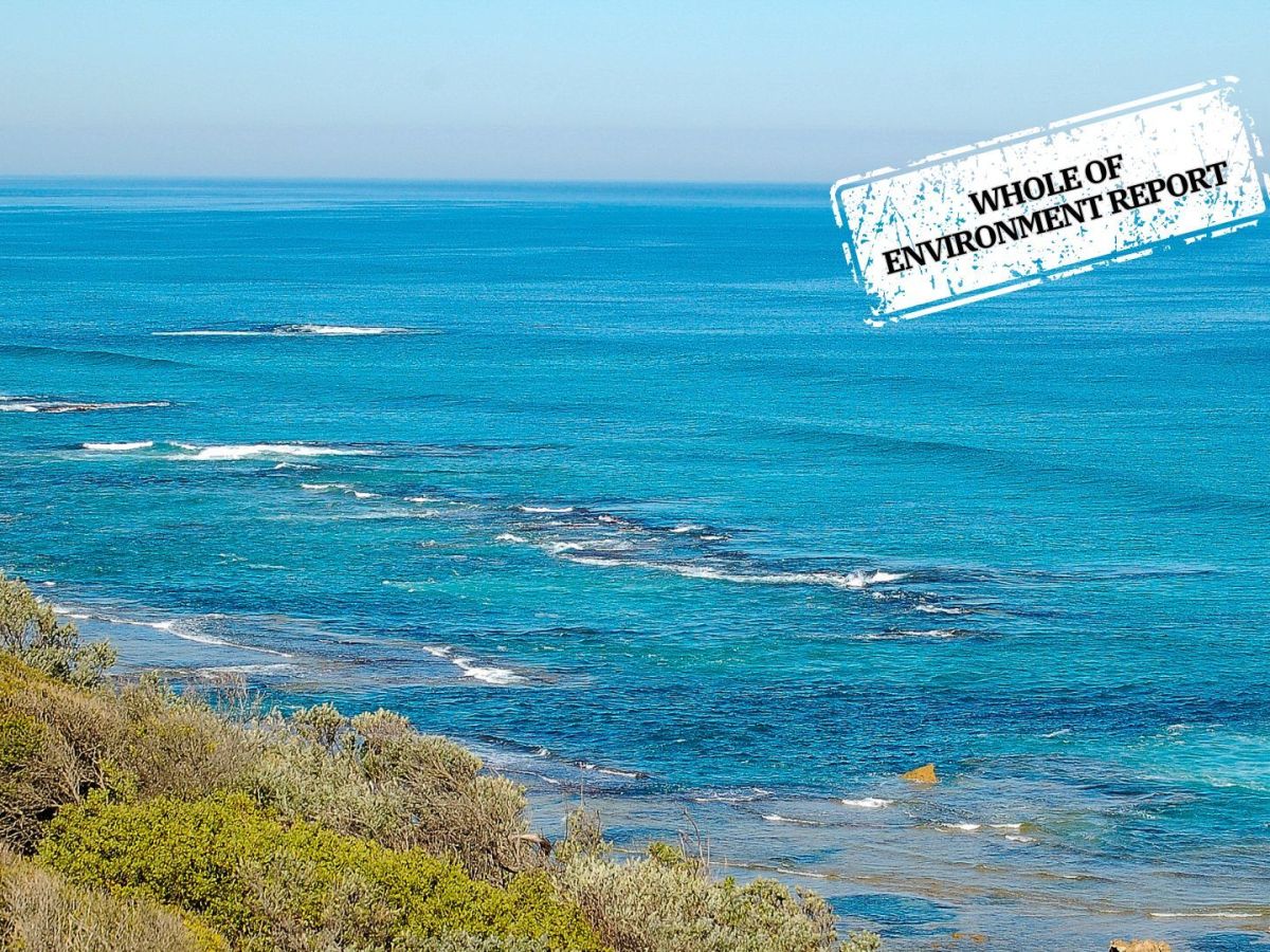 The answer is blowin’ in the wind – offshore, but still no windfarms in Australia, not one